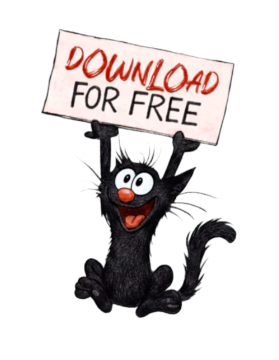 Cat overlay